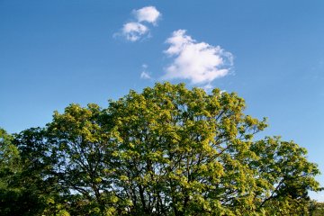 028_26m.jpg
